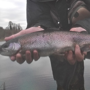A cracking Brown of approx. 3.5-4lb, a nicely coloured rainbow, a lovely full finned tiger, a white Zonker fished deep and slow on an intermediate line - taken by Gerry on 28th of December.